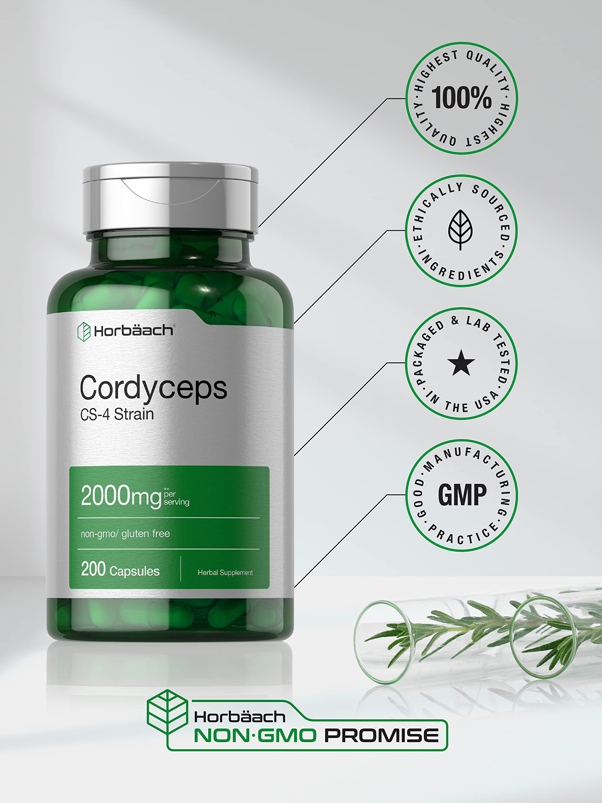 Horbäach Cordyceps ingredients panel shows clean profile.