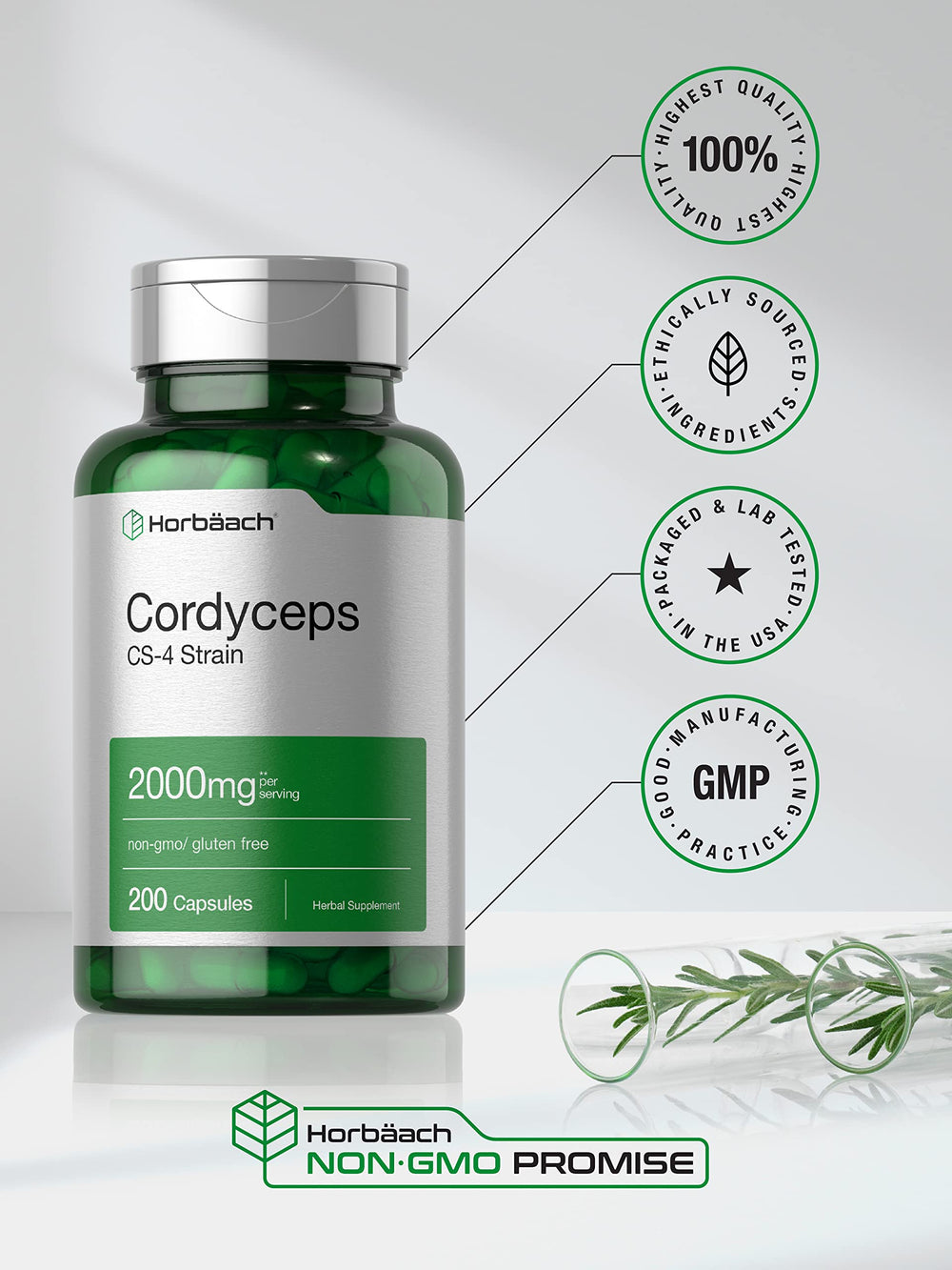 Horbäach Cordyceps ingredients panel shows clean profile.
