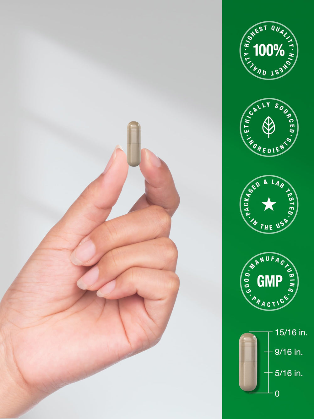 Horbäach Echinacea Goldenseal capsules non-GMO seal indicating trusted quality.