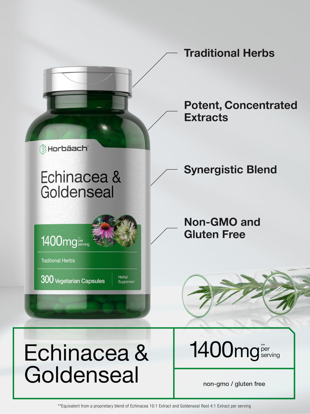 Horbäach Echinacea Goldenseal packaging display emphasizes non-GMO and purity.