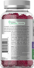 Horbaach elderberry gummies with zinc and vitamin C for daily use.