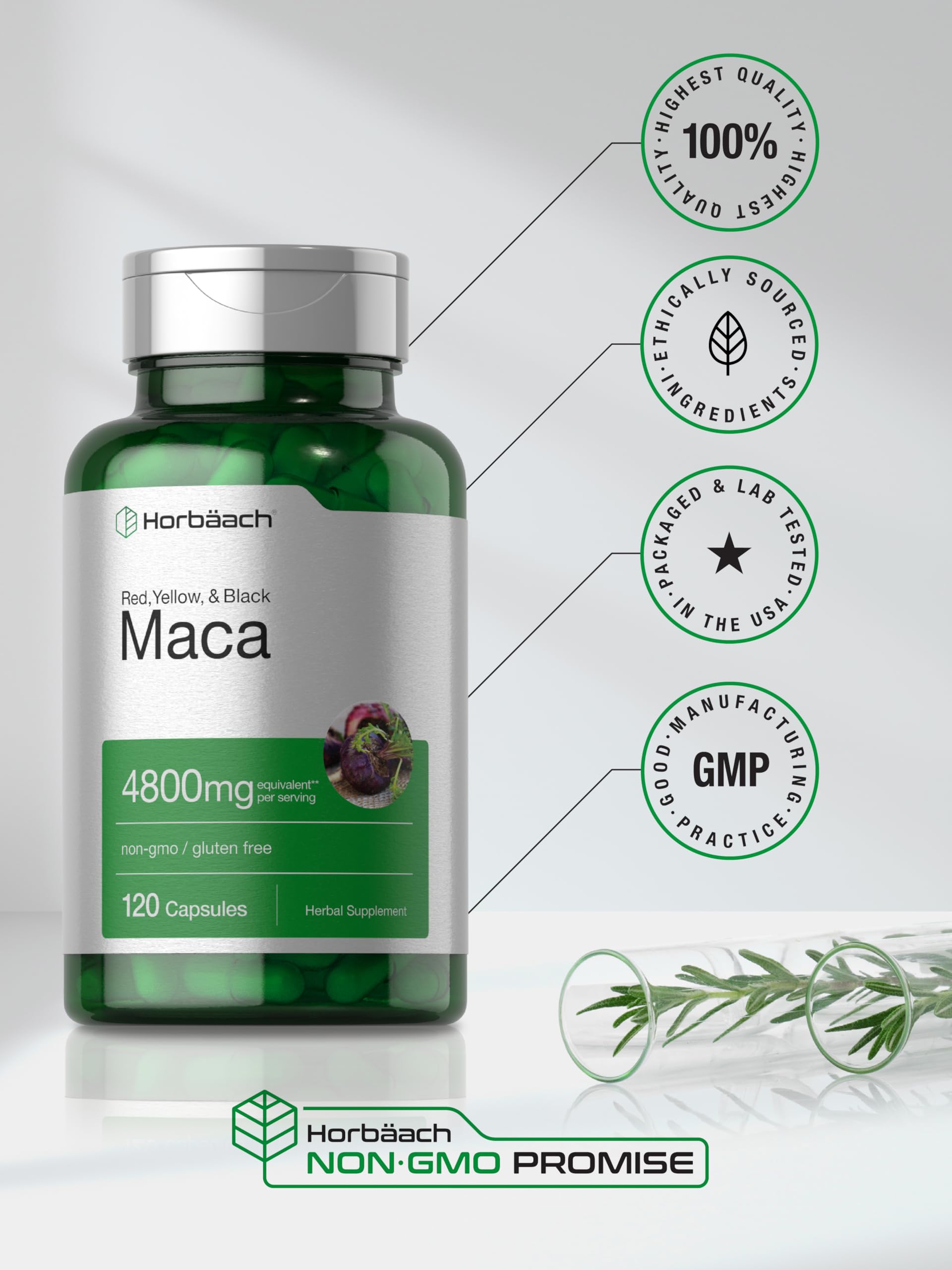 Horbäach Maca Root Capsules packaging graphic showing quality.