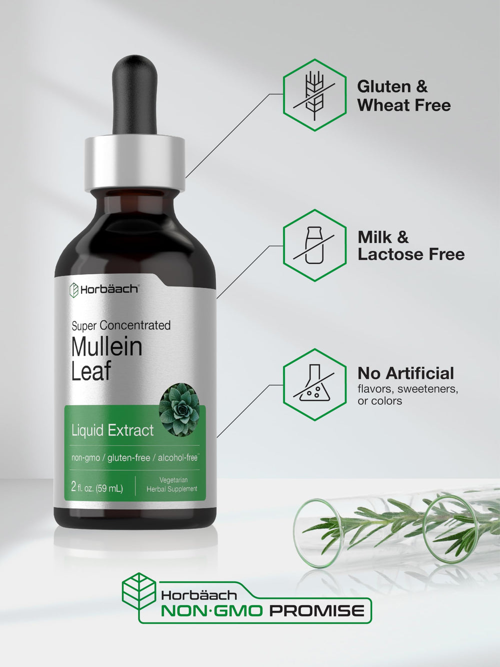 Horbäach Mullein Leaf Extract Drops 2 oz packaging for daily use