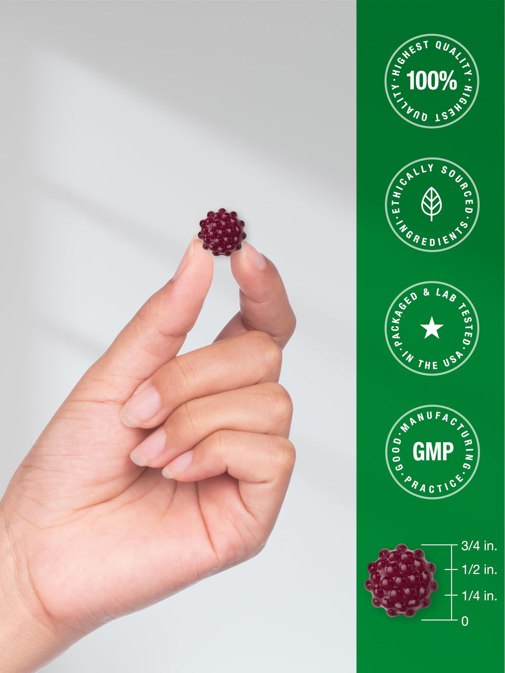 Two Horbaach elderberry gummies bottles displayed together.