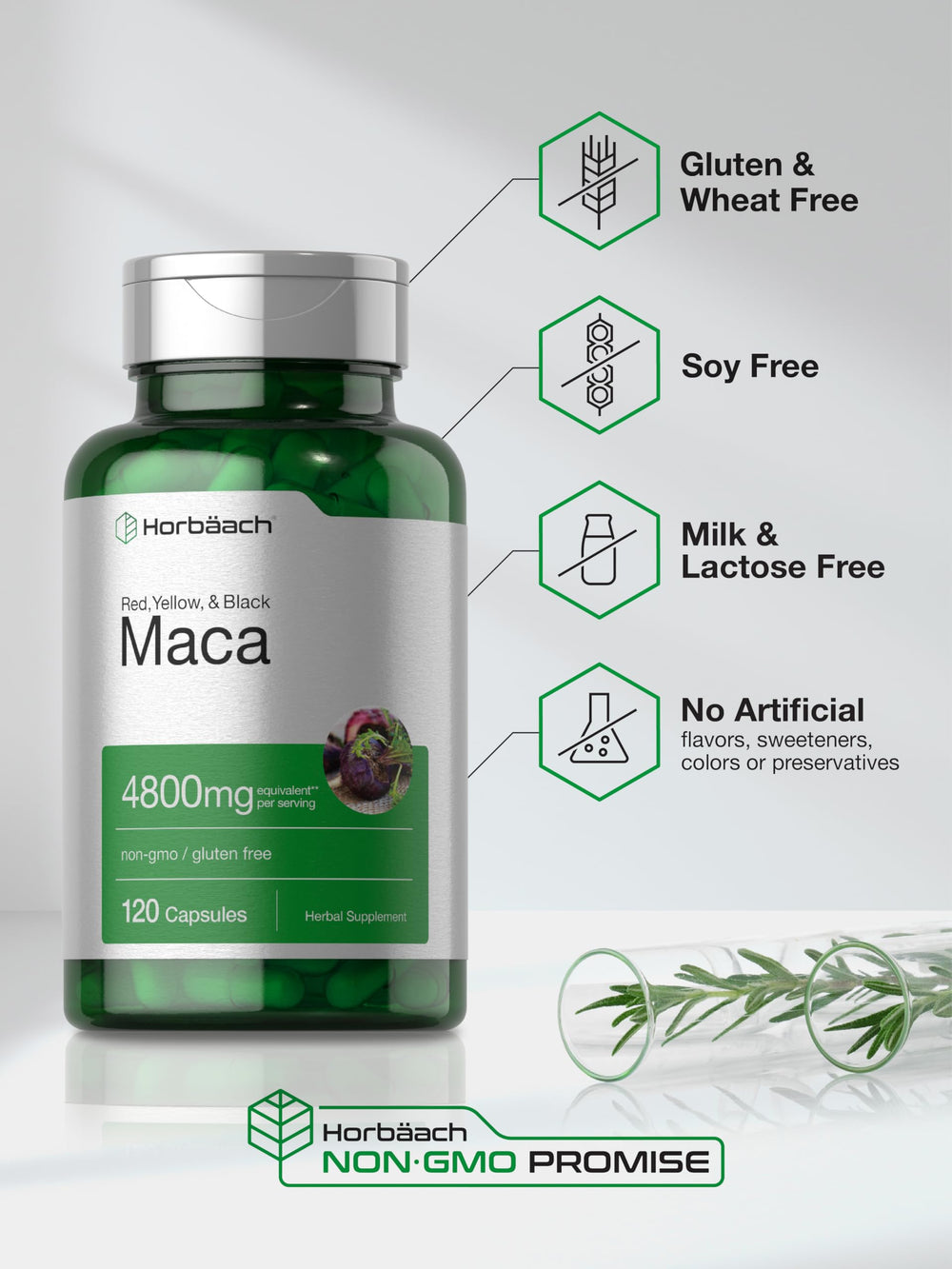 Horbäach Peruvian Maca extract powder visual accent.