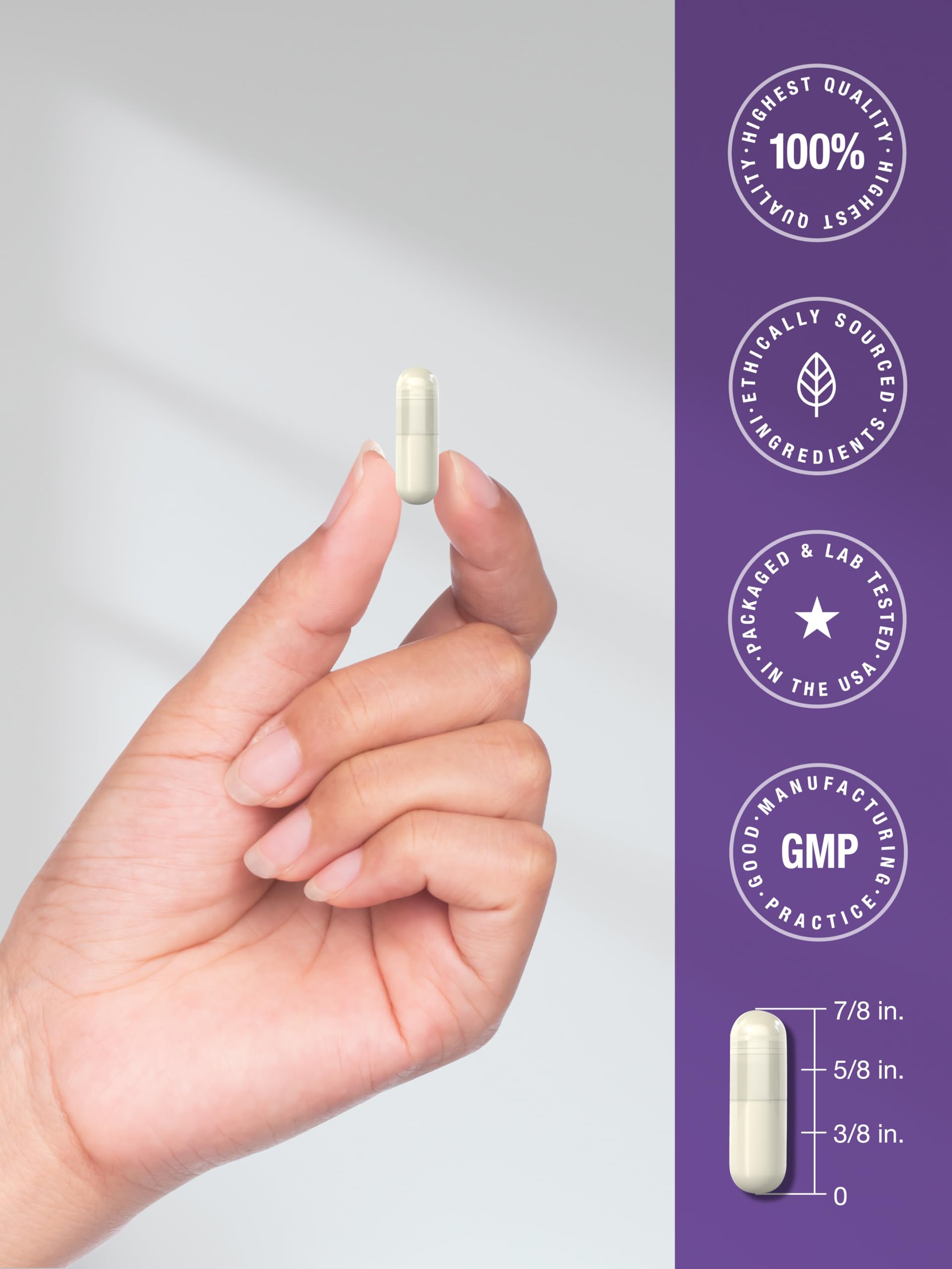Horbaach Probiotics capsules designed for daily digestive support