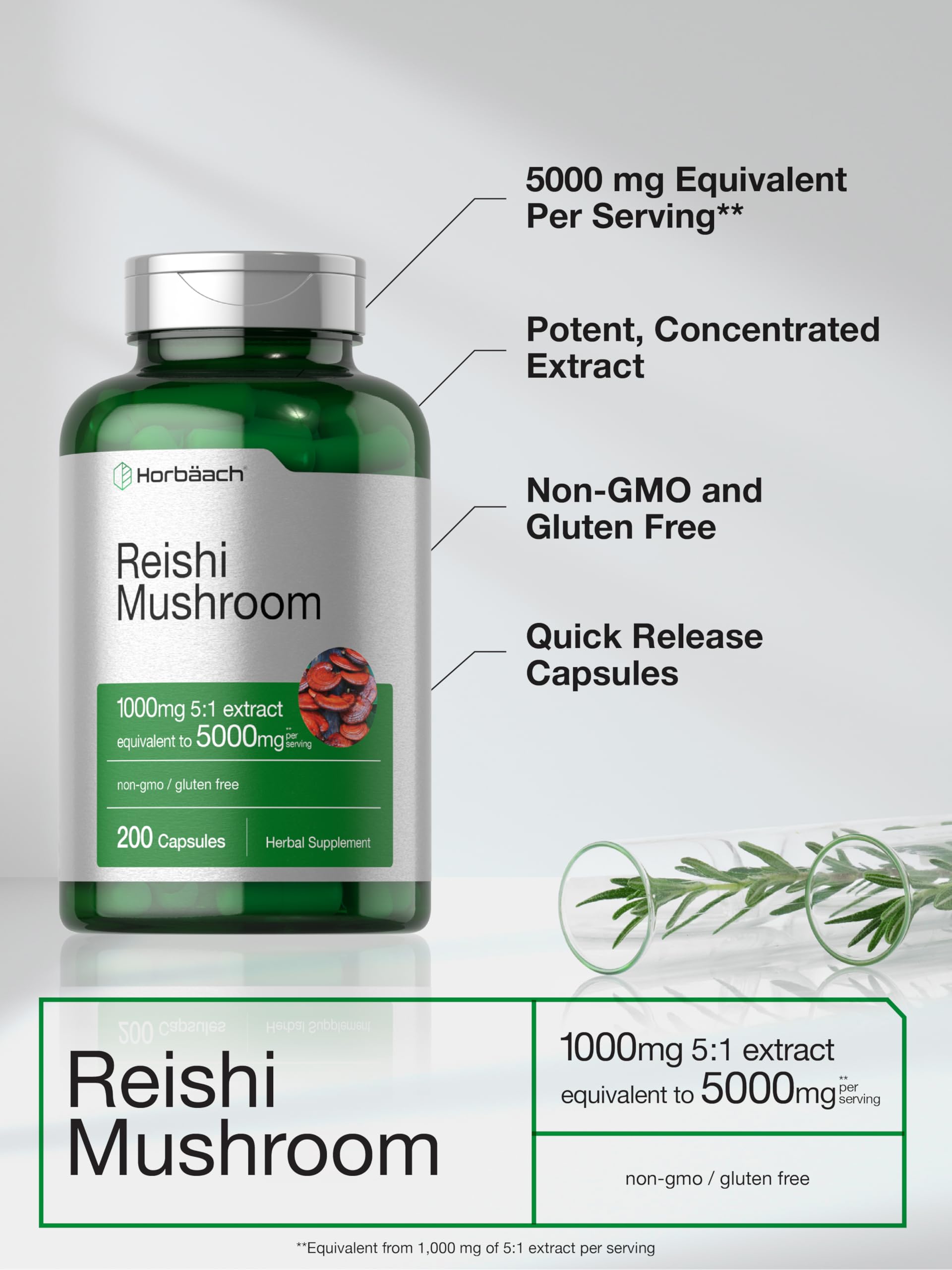 Horbäach Reishi capsule bottle label displays 1,000 mg 5:1 extract