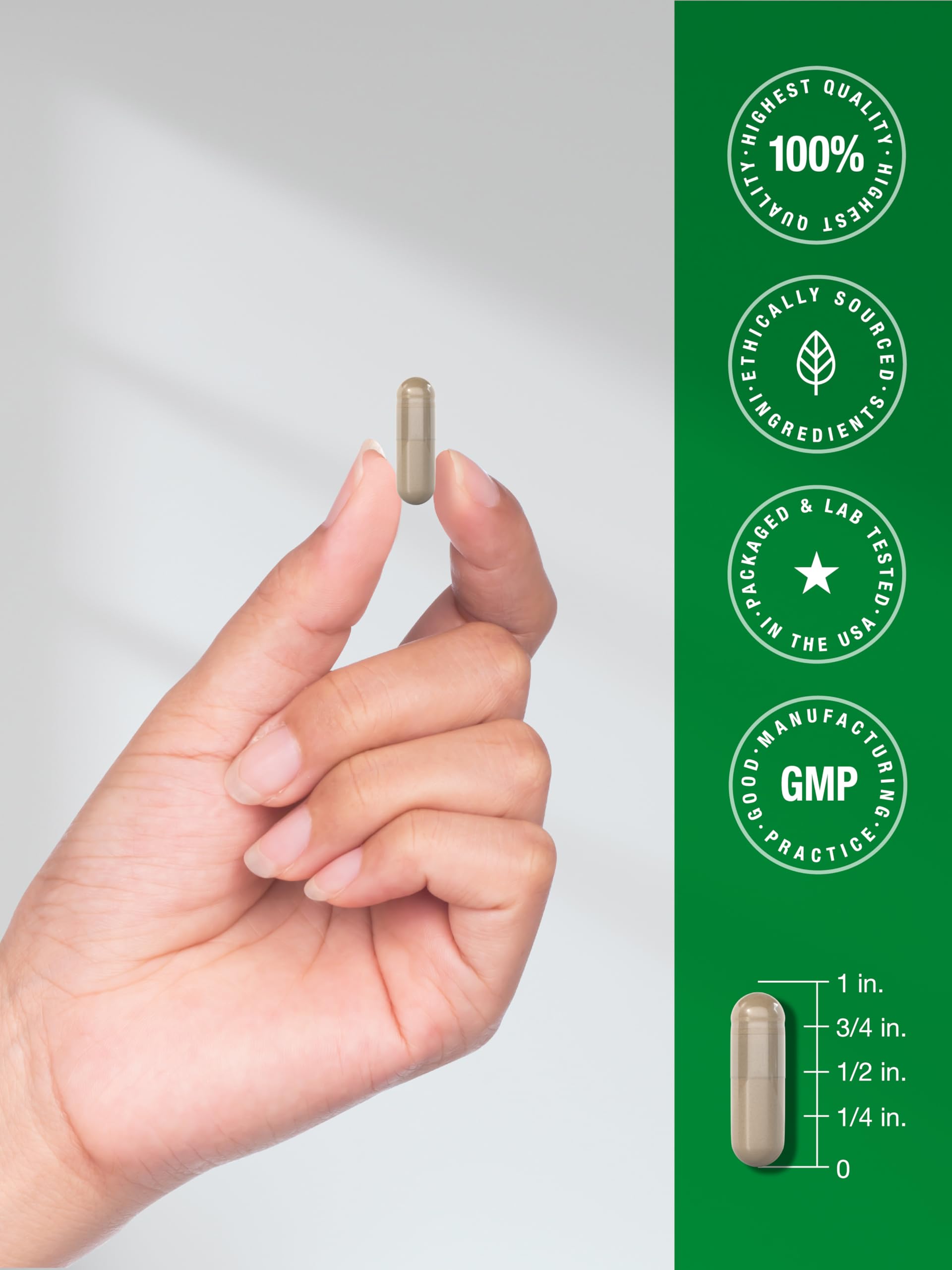 Horbäach Saw Palmetto Extract packaging design signals premium quality.