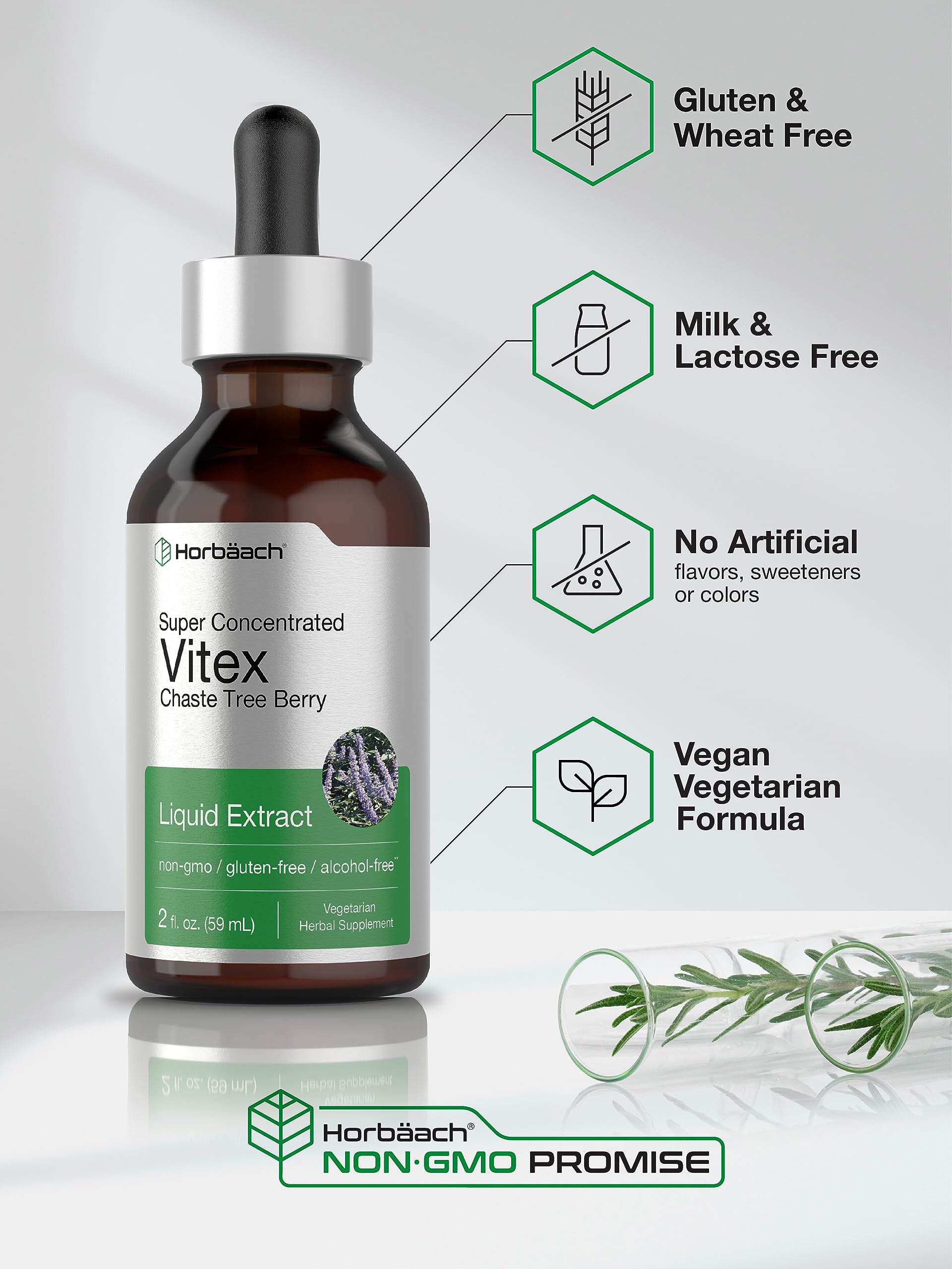 Horbäach Vitex chaste tree berry illustration representing herbal balance