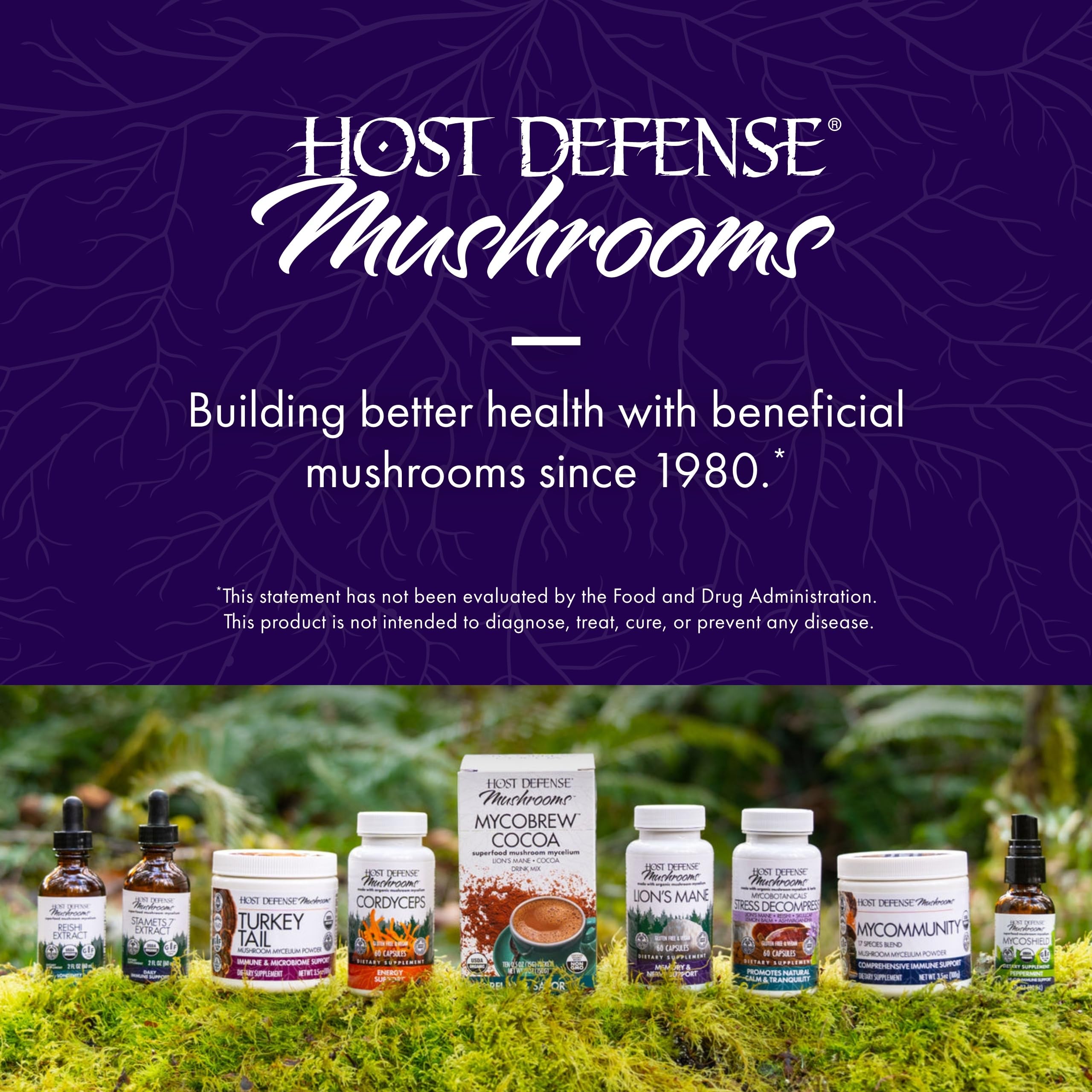 Host Defense Brain Capsules displayed on shelf with earthy branding and focus vibe