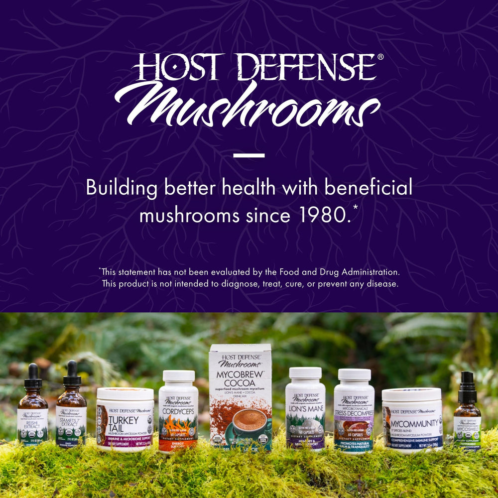 Host Defense Brain Capsules displayed on shelf with earthy branding and focus vibe