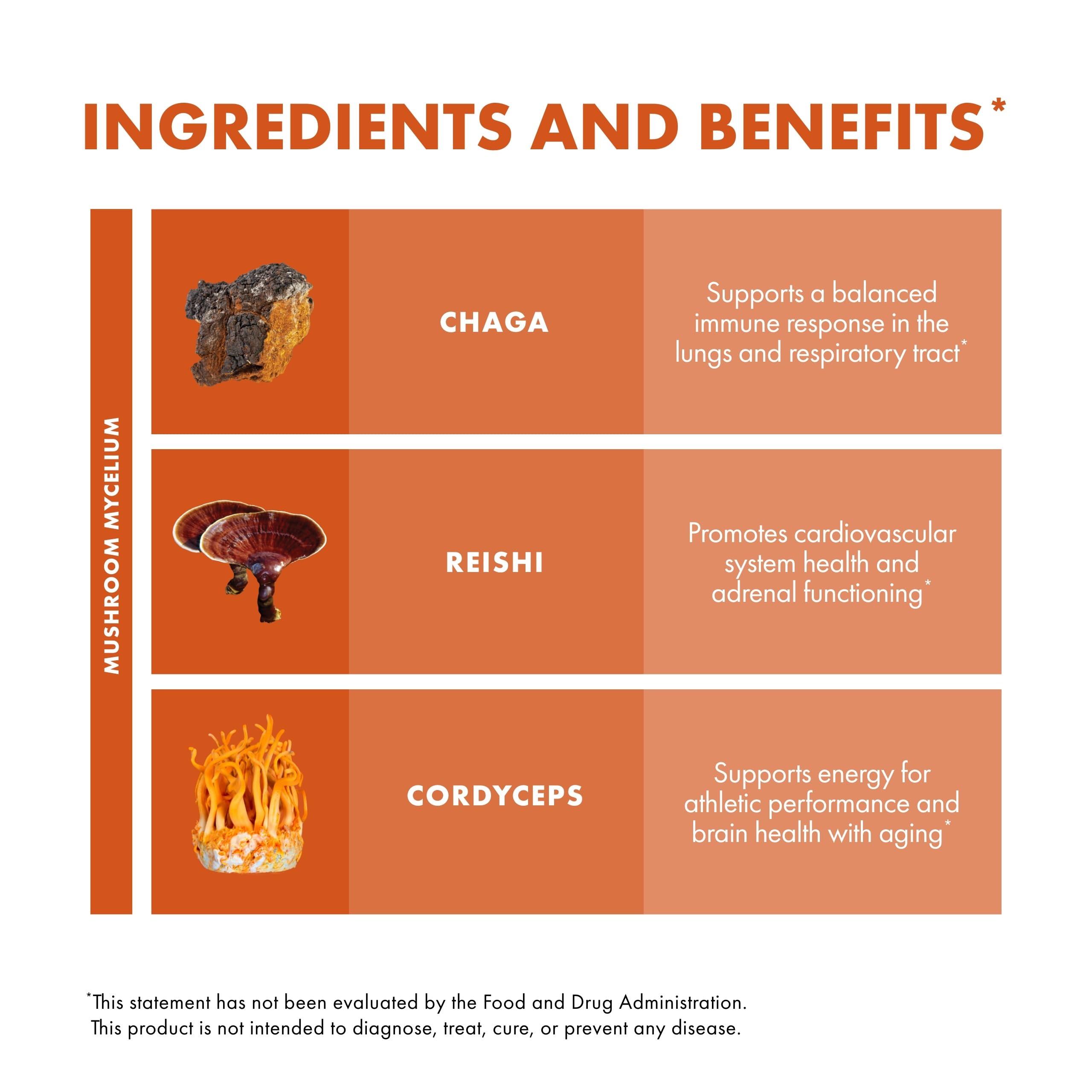 Host Defense Breathe Powder packaging USA origin and quality emphasis