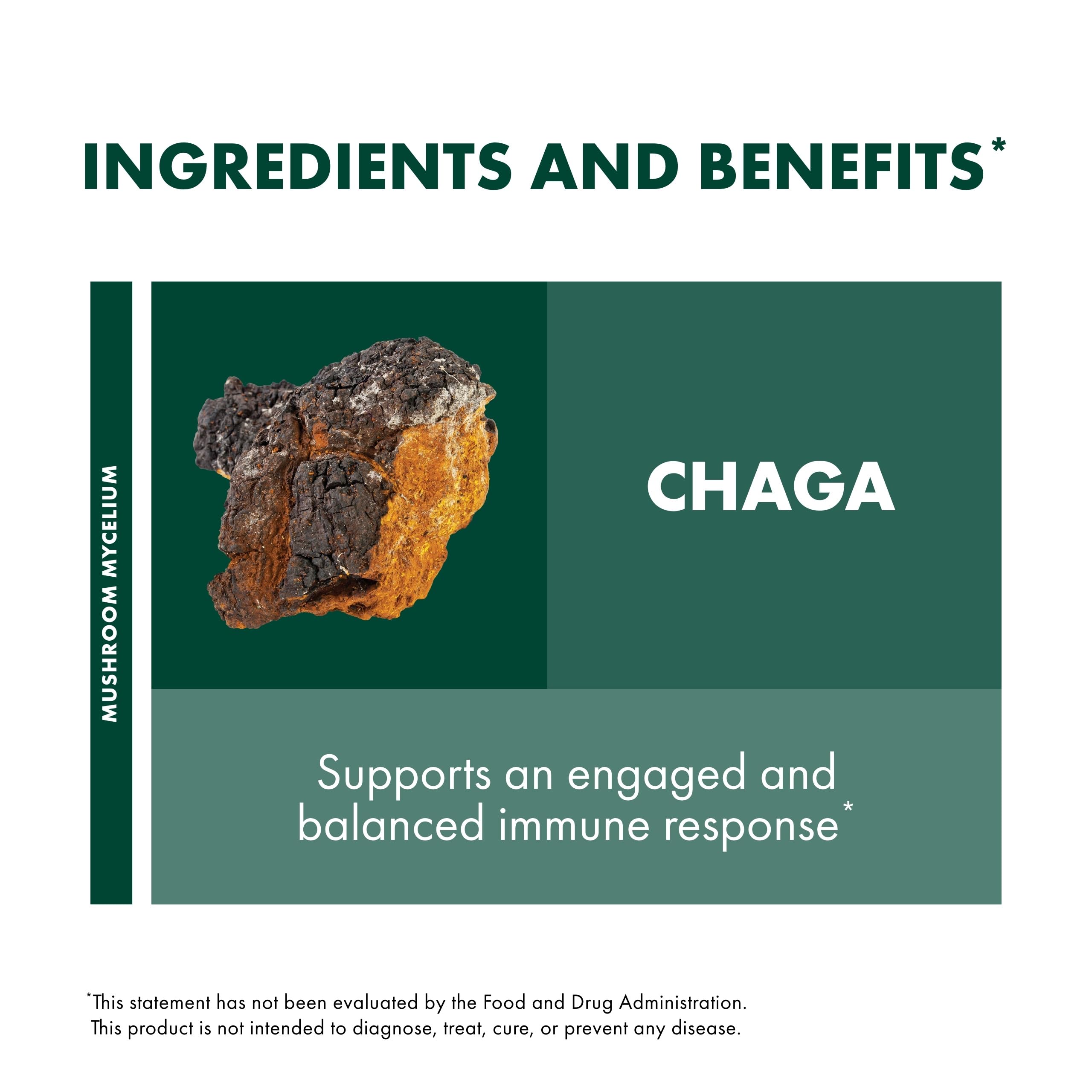 Host Defense Chaga capsules on kitchen counter ready for daily wellness.