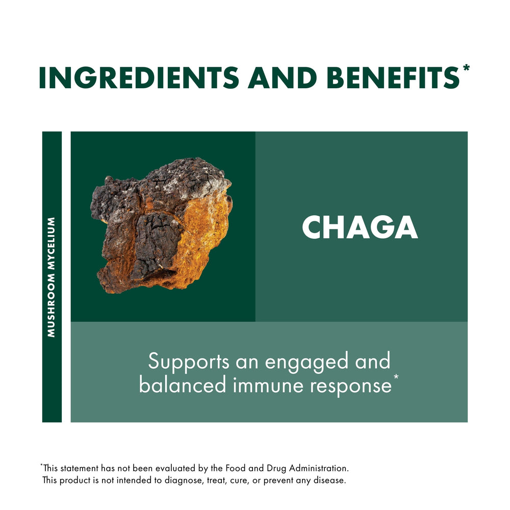 Host Defense Chaga capsules on kitchen counter ready for daily wellness.