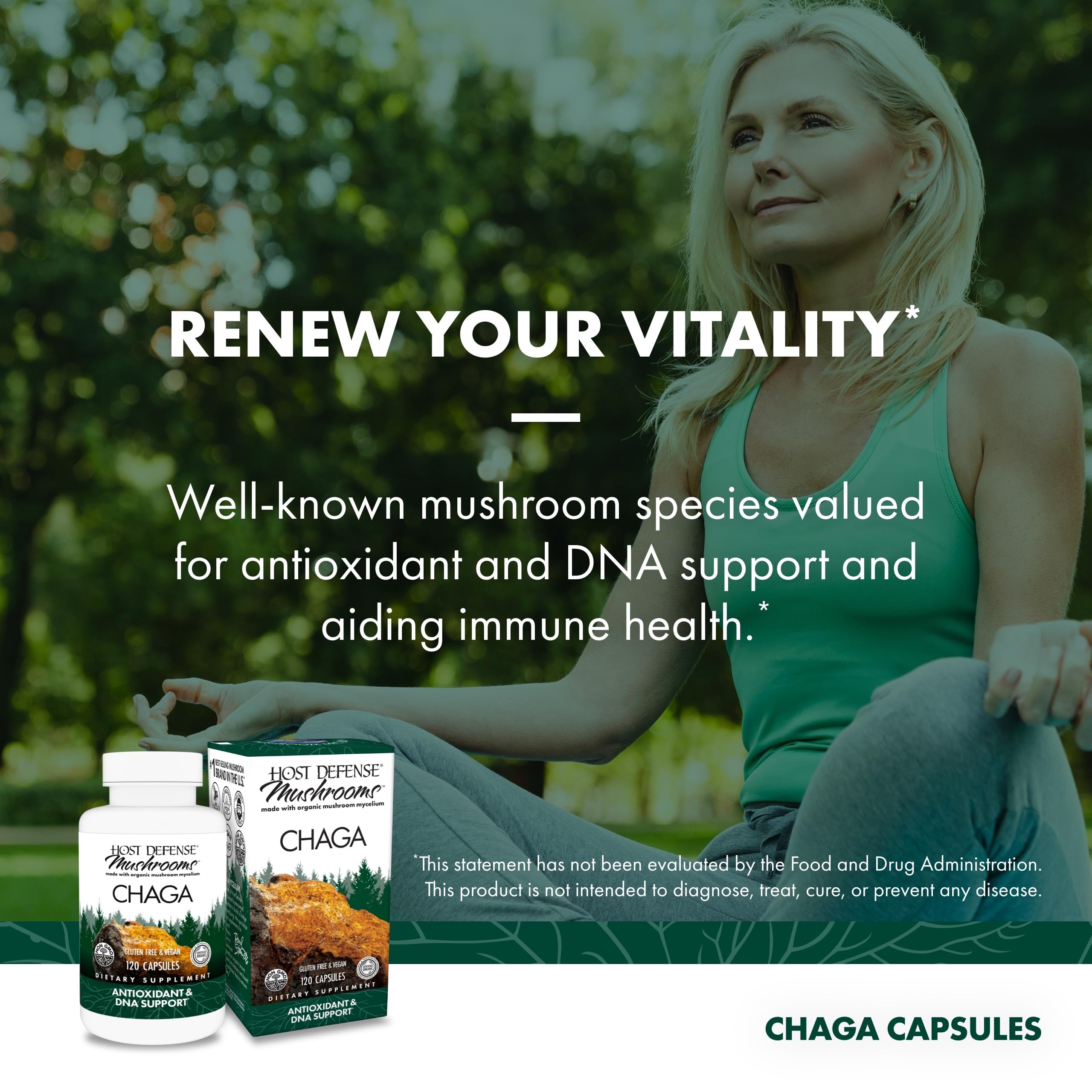 Host Defense Chaga capsules showing mycelium on brown rice substrate for potential health support.