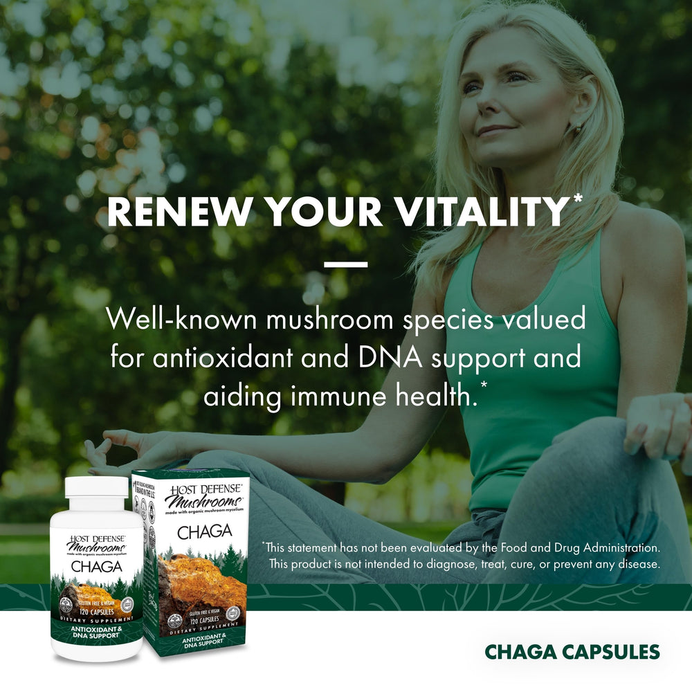 Host Defense Chaga capsules showing mycelium on brown rice substrate for potential health support.