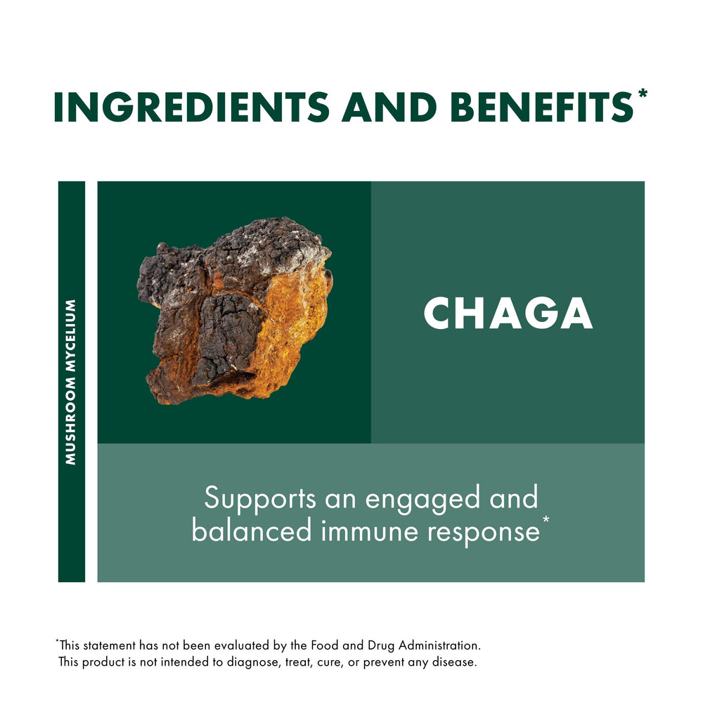 Host Defense Chaga Extract liquid form shown being poured for daily use