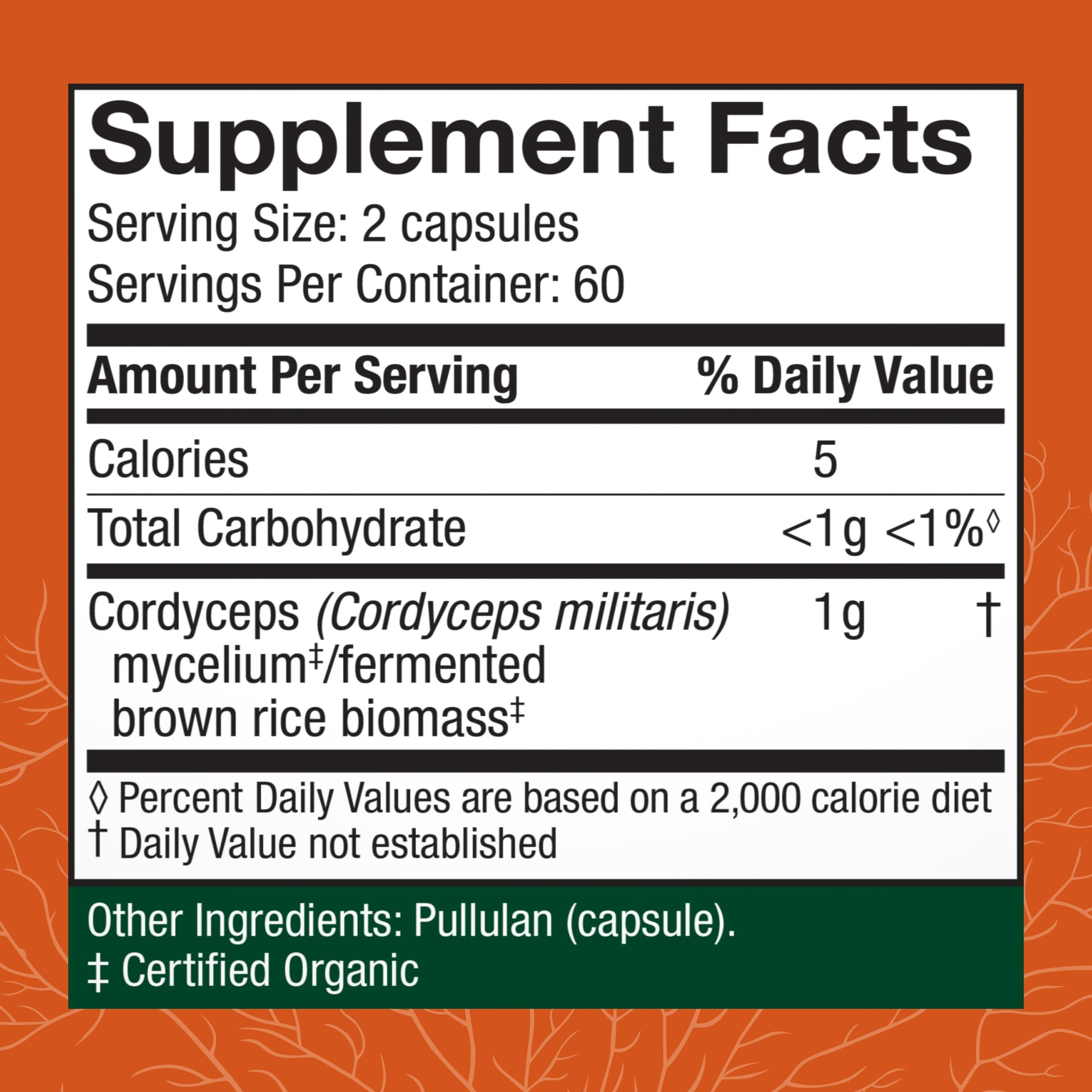 Host Defense Cordyceps capsules close-up emphasizes easy daily dosing