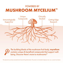 Host Defense Cordyceps capsules being poured for easy daily intake.