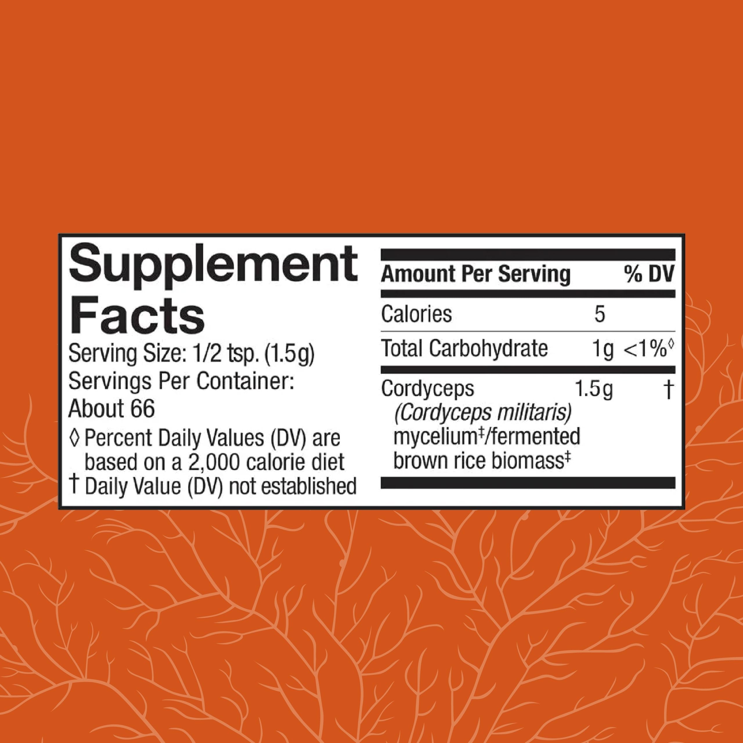 Cordyceps powder scoop beside jar for easy serving