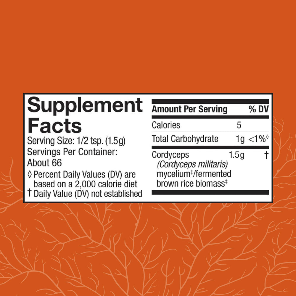 Cordyceps powder scoop beside jar for easy serving