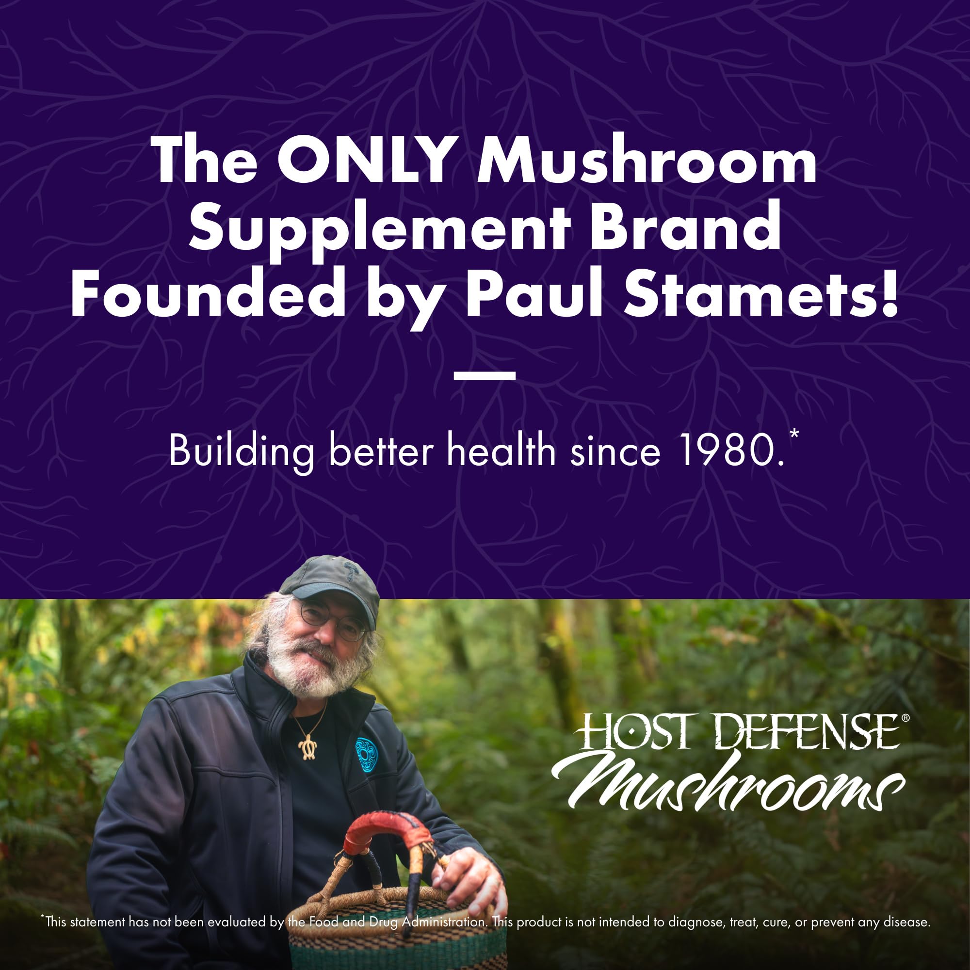 Host Defense Elderberry Plus dropper ready for daily immune support.