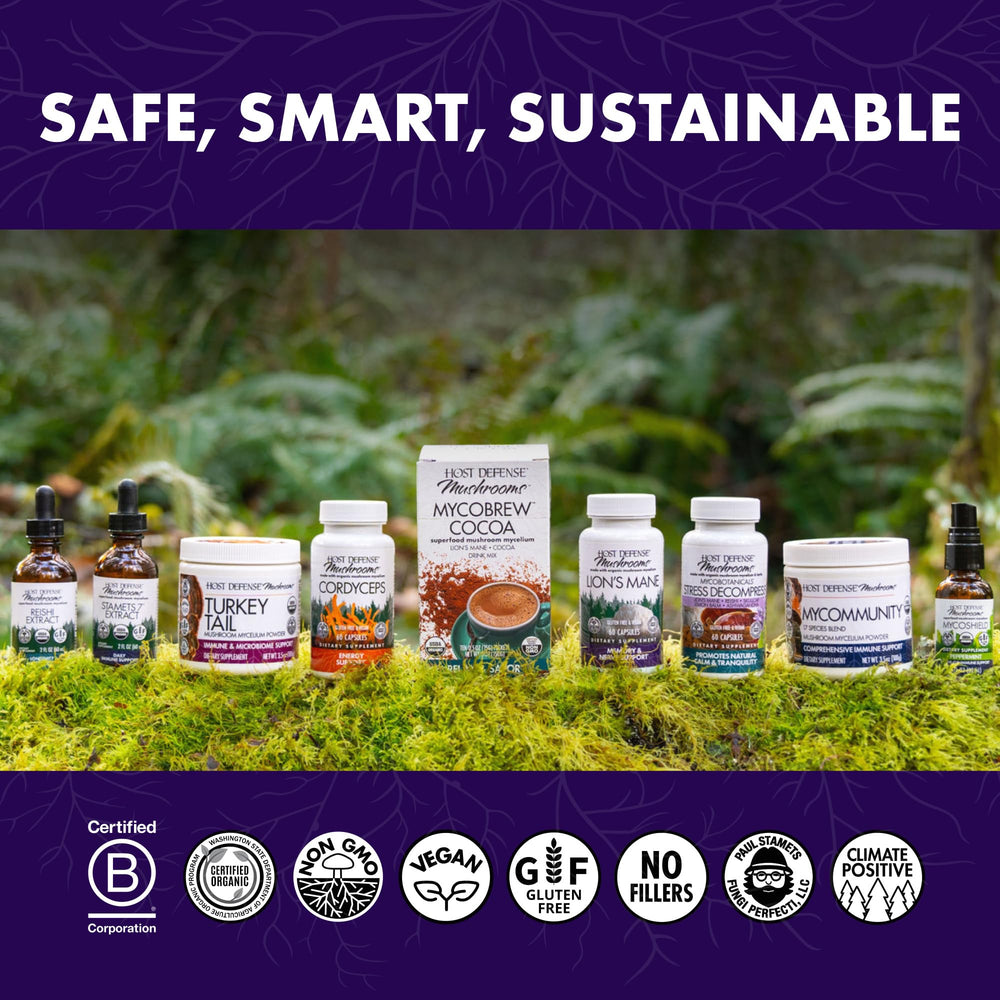 Host Defense Elderberry Plus elderberry juice concentrate focus for immune support.