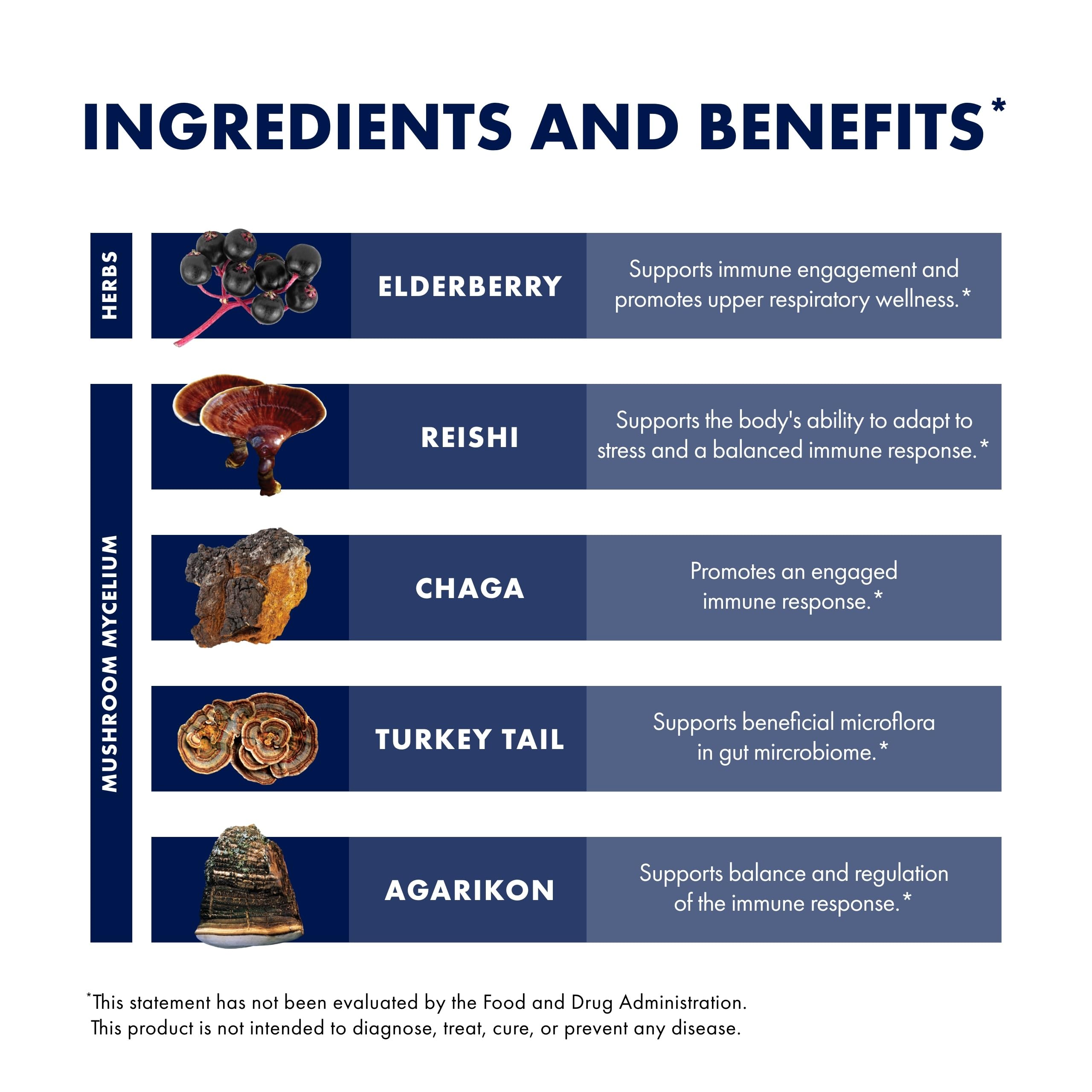 Host Defense Elderberry Plus reishi and turkey tail illustration for immune support.