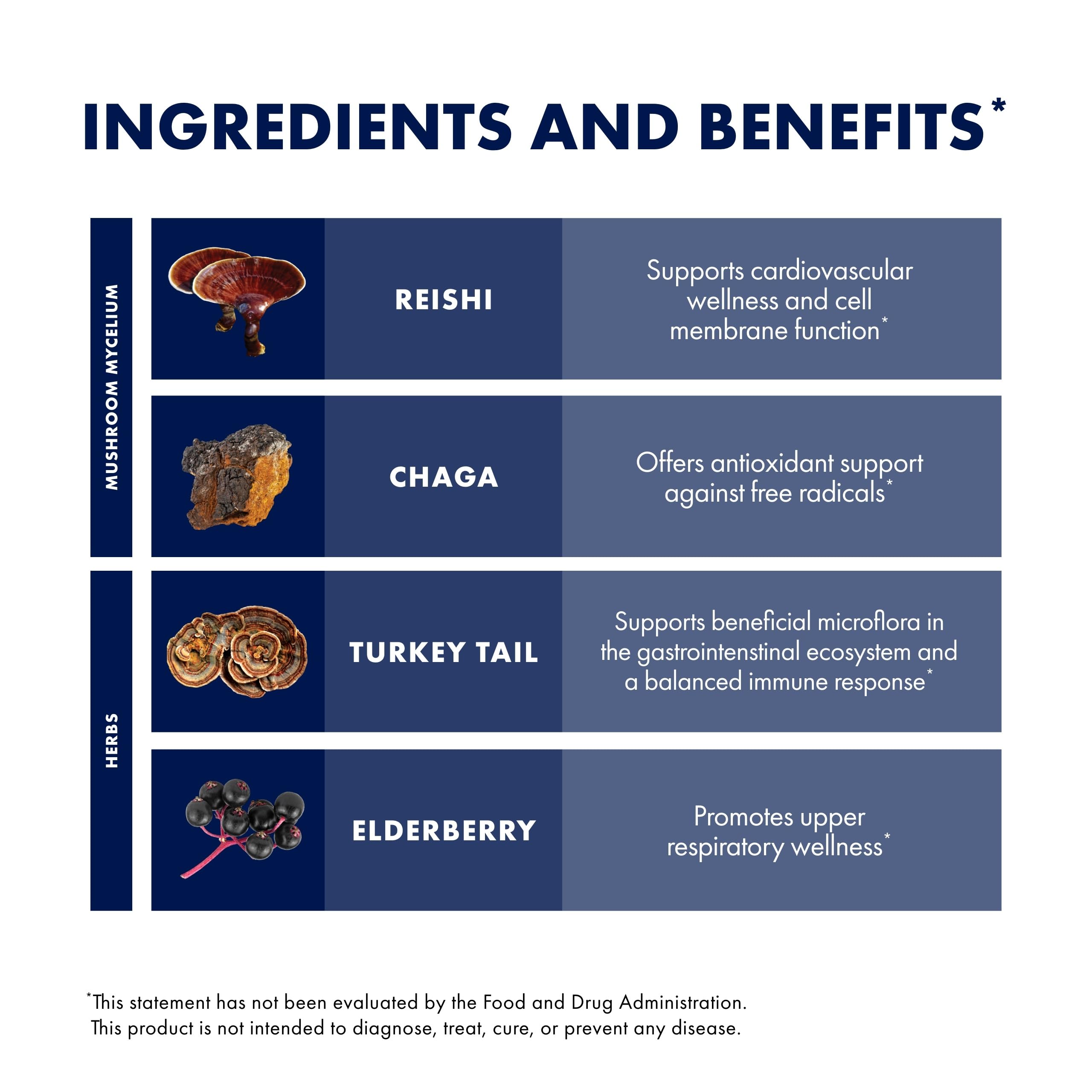 Host Defense Elderberry Plus Syrup mushroom blend visual for immune support.