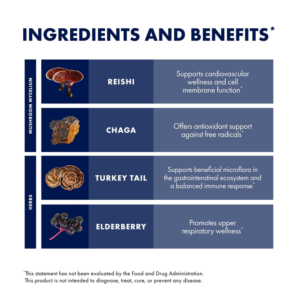 Host Defense Elderberry Plus Syrup mushroom blend visual for immune support.