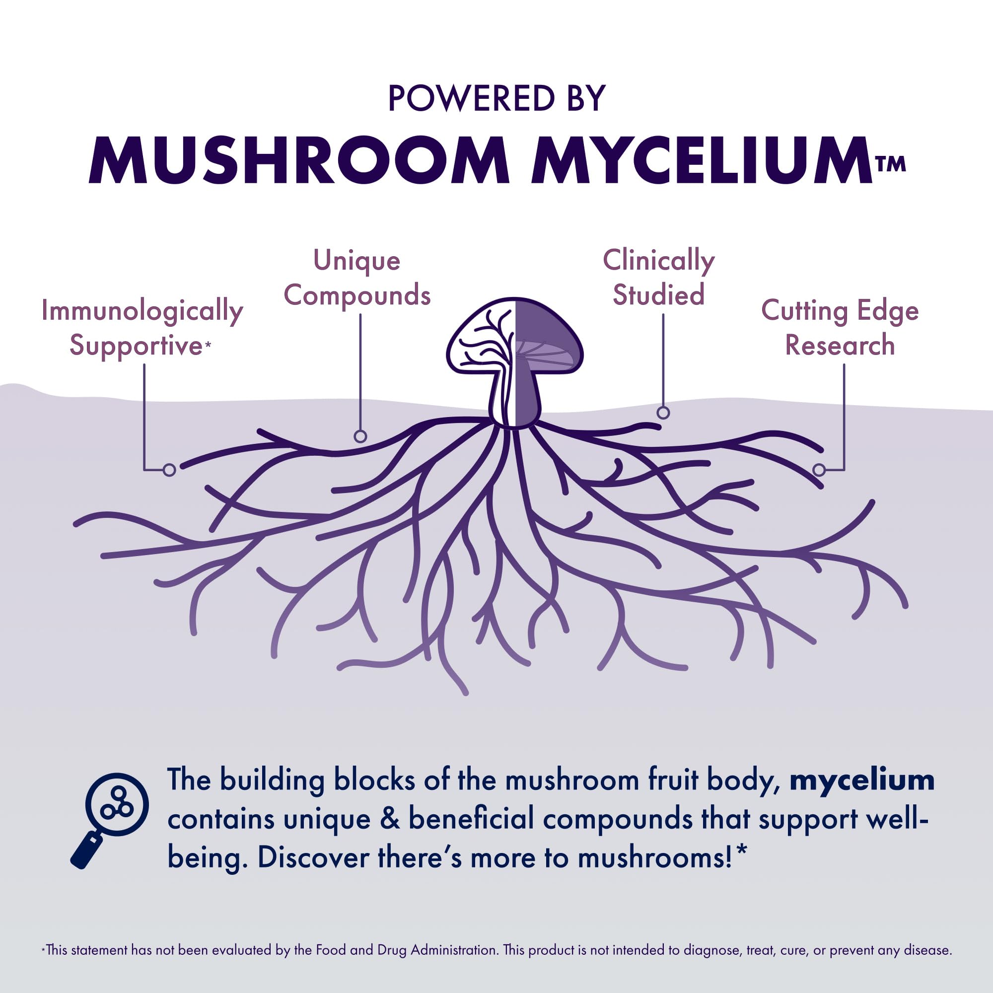 Host Defense Lion's Mane capsules on a clean shelf, emphasizing premium mushroom wellness.