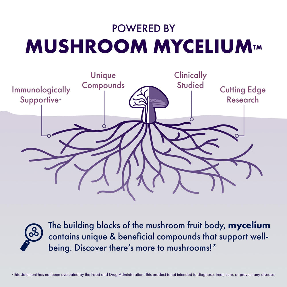 Host Defense Lion's Mane capsules on a clean shelf, emphasizing premium mushroom wellness.