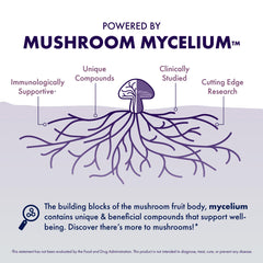 Host Defense Lion's Mane capsules on a clean shelf, emphasizing premium mushroom wellness.