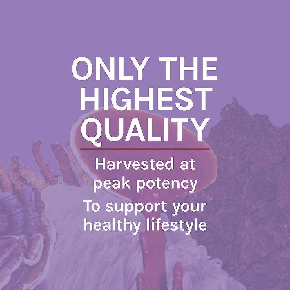 Host Defense Lions Mane packaging highlights two capsules daily with food for focus.