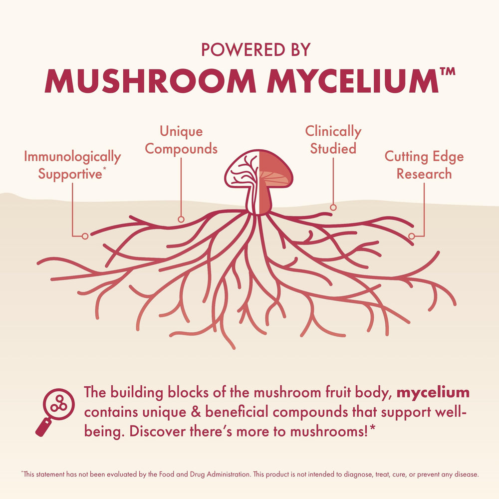 Ingredients blend of chaga, enoki, and reishi in MycoBenefits.