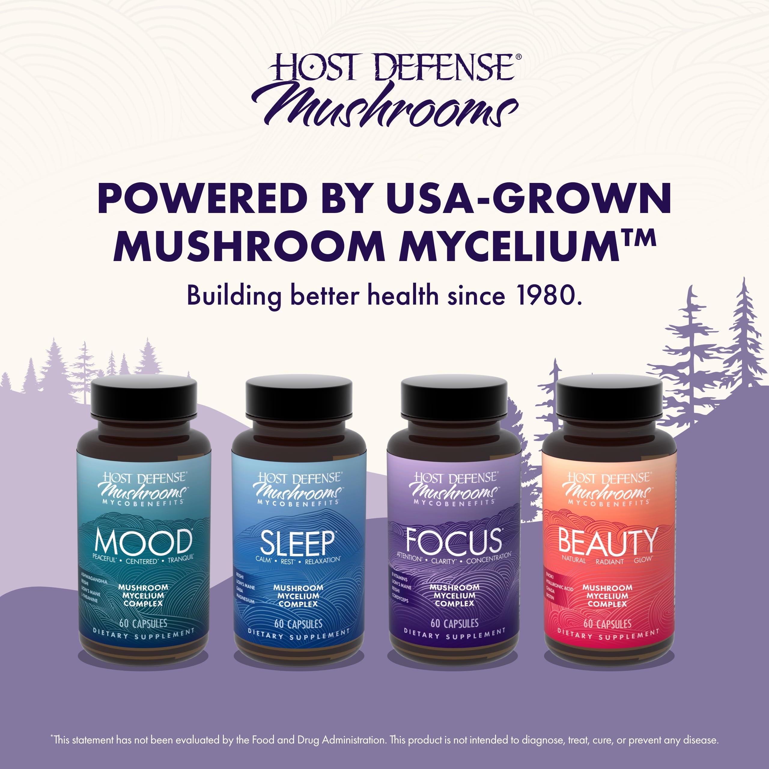 Host Defense MycoBenefits Focus capsules in a daily routine setup