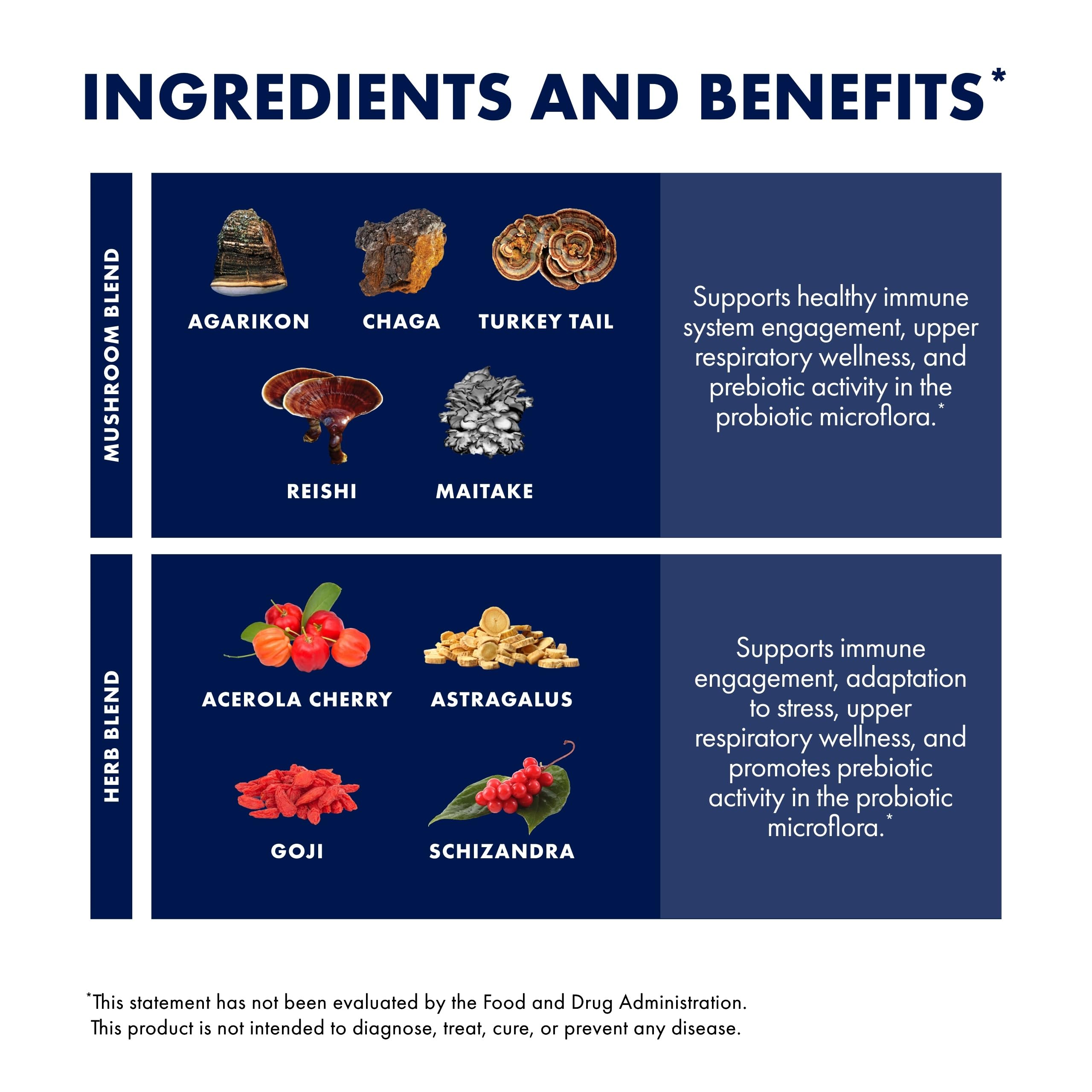 Host Defense MycoBotanicals ingredients panel highlighting organic and gluten-free formulation