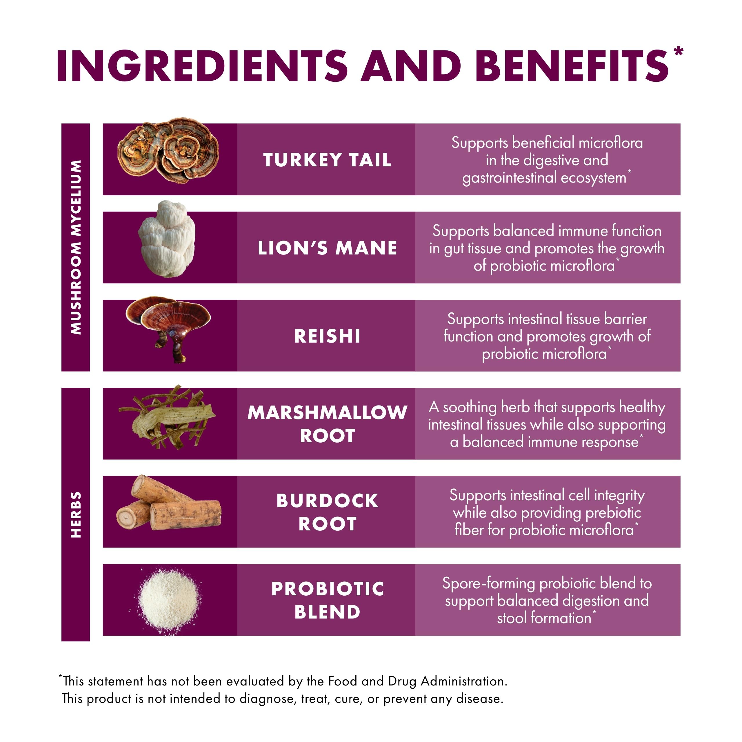 Host Defense MycoBotanicals Reishi mushroom close-up highlighting premium ingredients.
