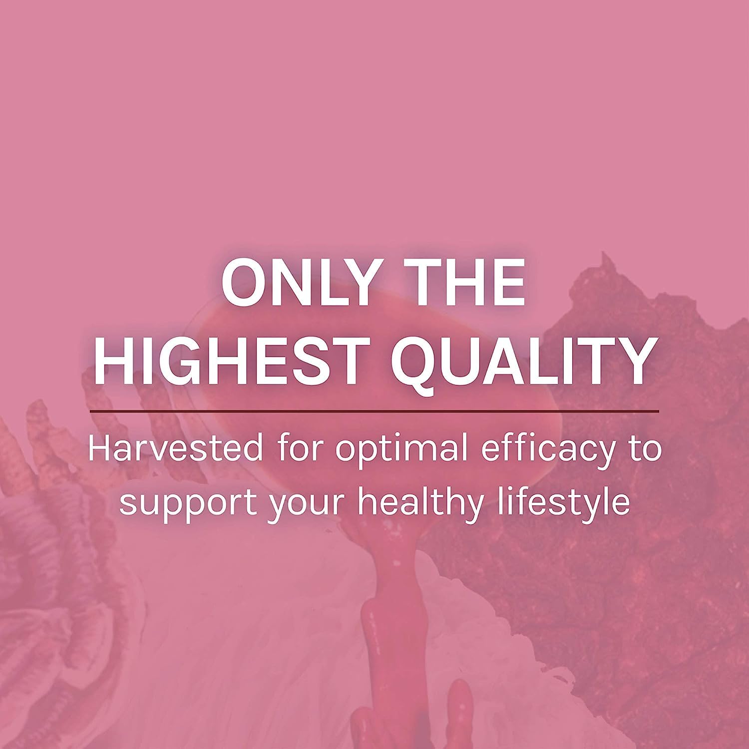 Host Defense MycoBotanicals USA-grown gluten-free label on bottle.