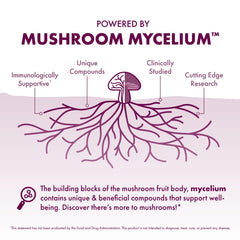 Organic mushroom mycelium on brown rice substrate from Host Defense.