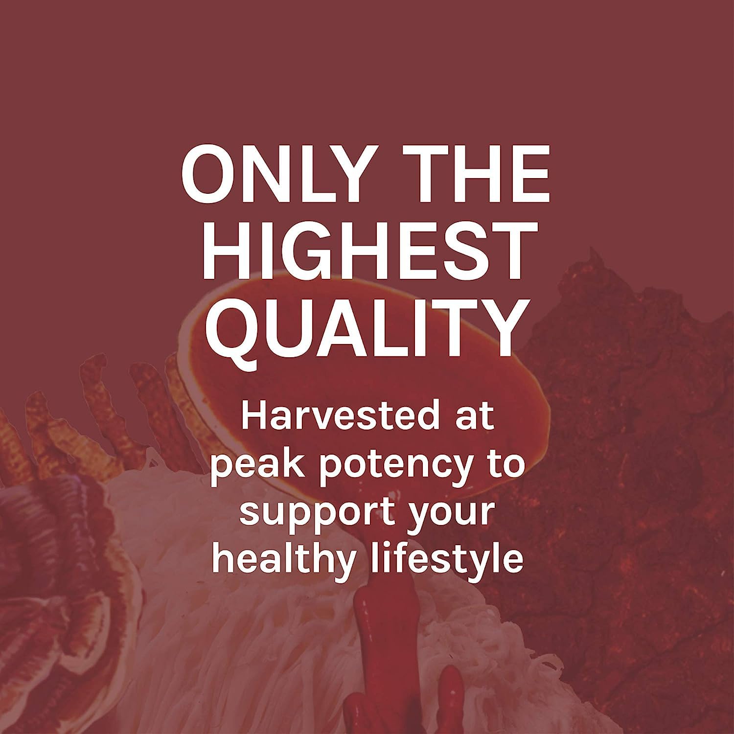 USA-grown quality mark on Host Defense Reishi extract packaging.