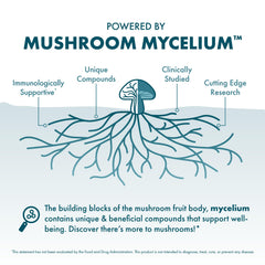 Spoon dispensing Reishi powder for easy daily dosing