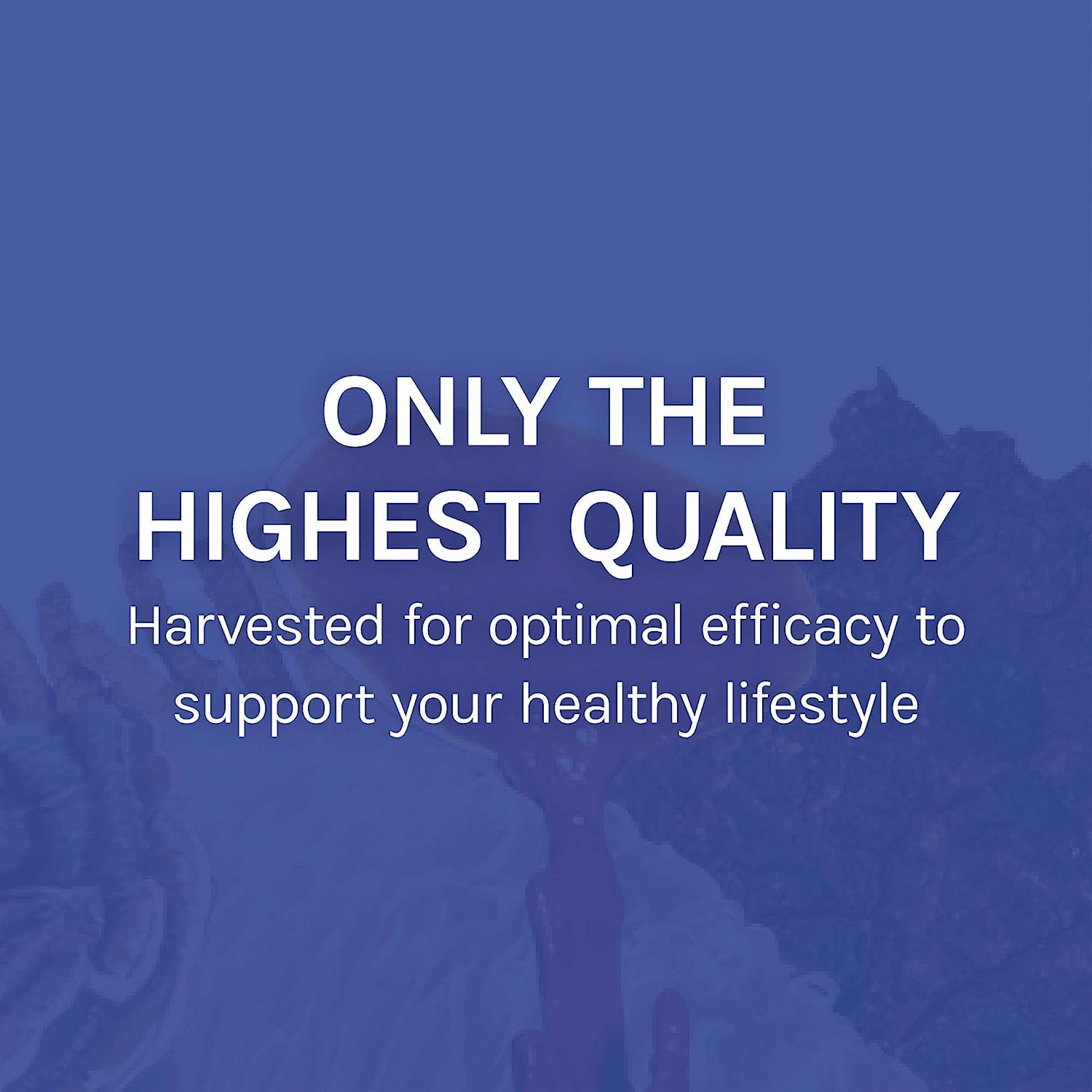 Host Defense Stamets 7-7 supplement jar on a shelf conveys brand credibility.