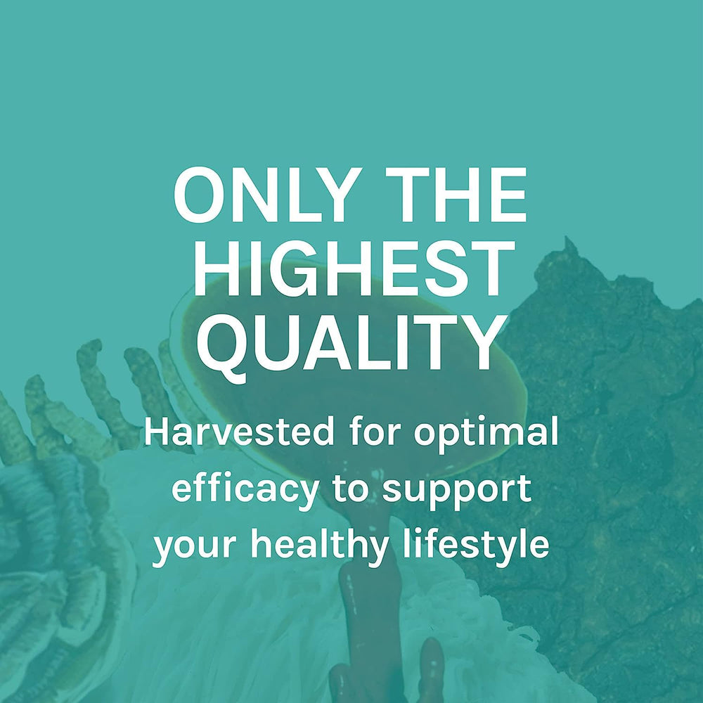 Host Defense Stress Decompress ashwagandha root shown for stress-support potential.