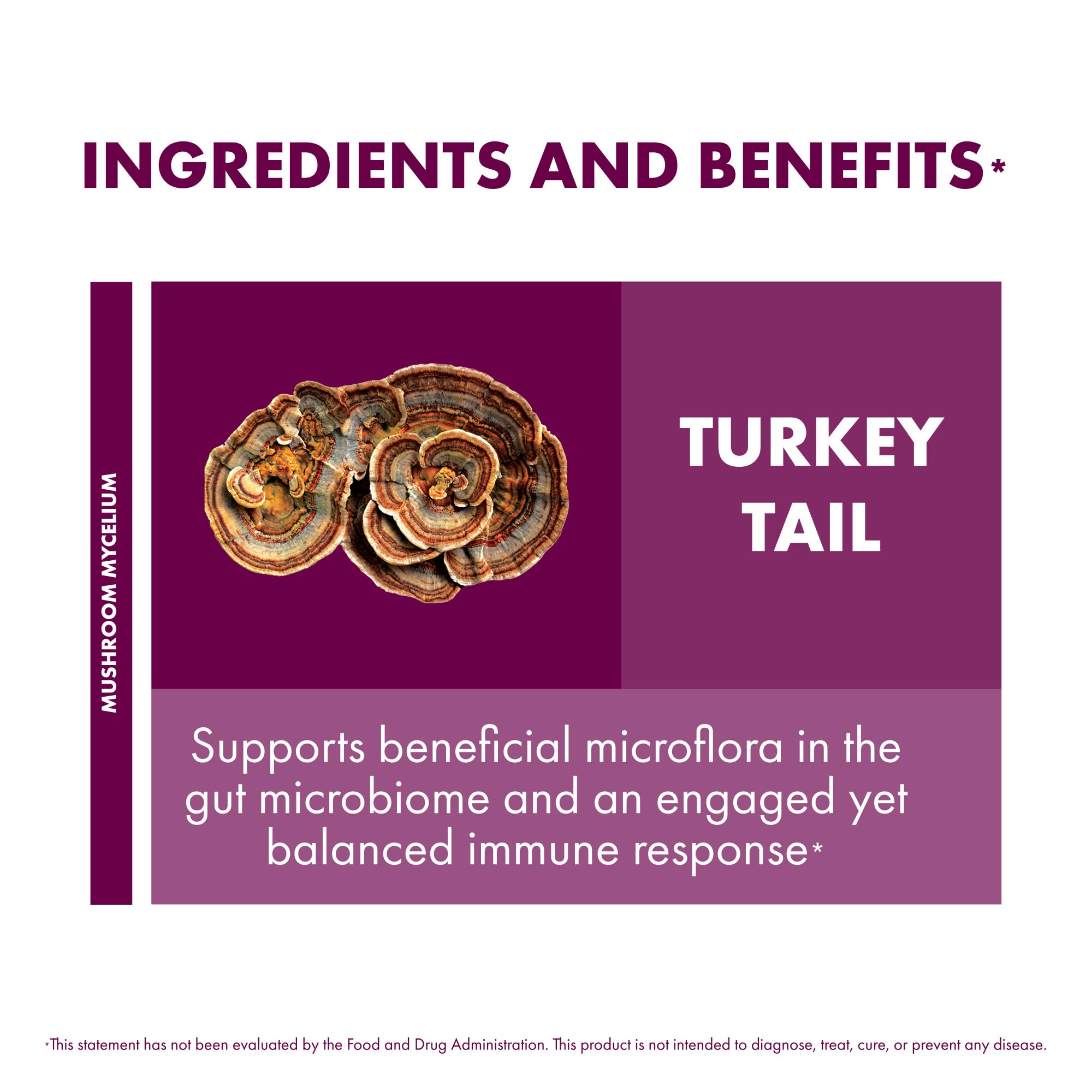 Host Defense Turkey Tail capsules ingredient list close-up emphasizing organic mycelium