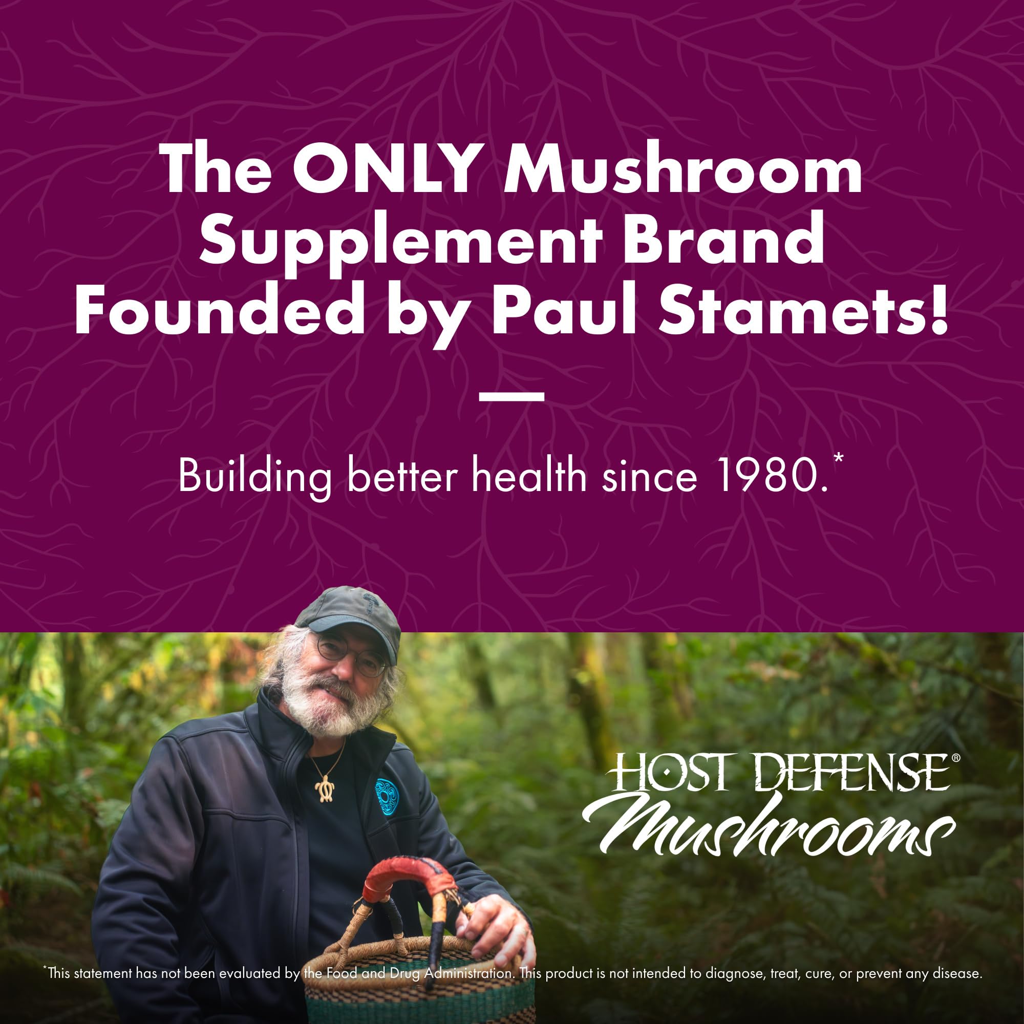 Host Defense Turkey Tail extract with prebiotics nourishing gut microbiome.
