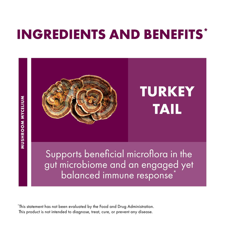Host Defense Turkey Tail powder in a bowl ready to mix.