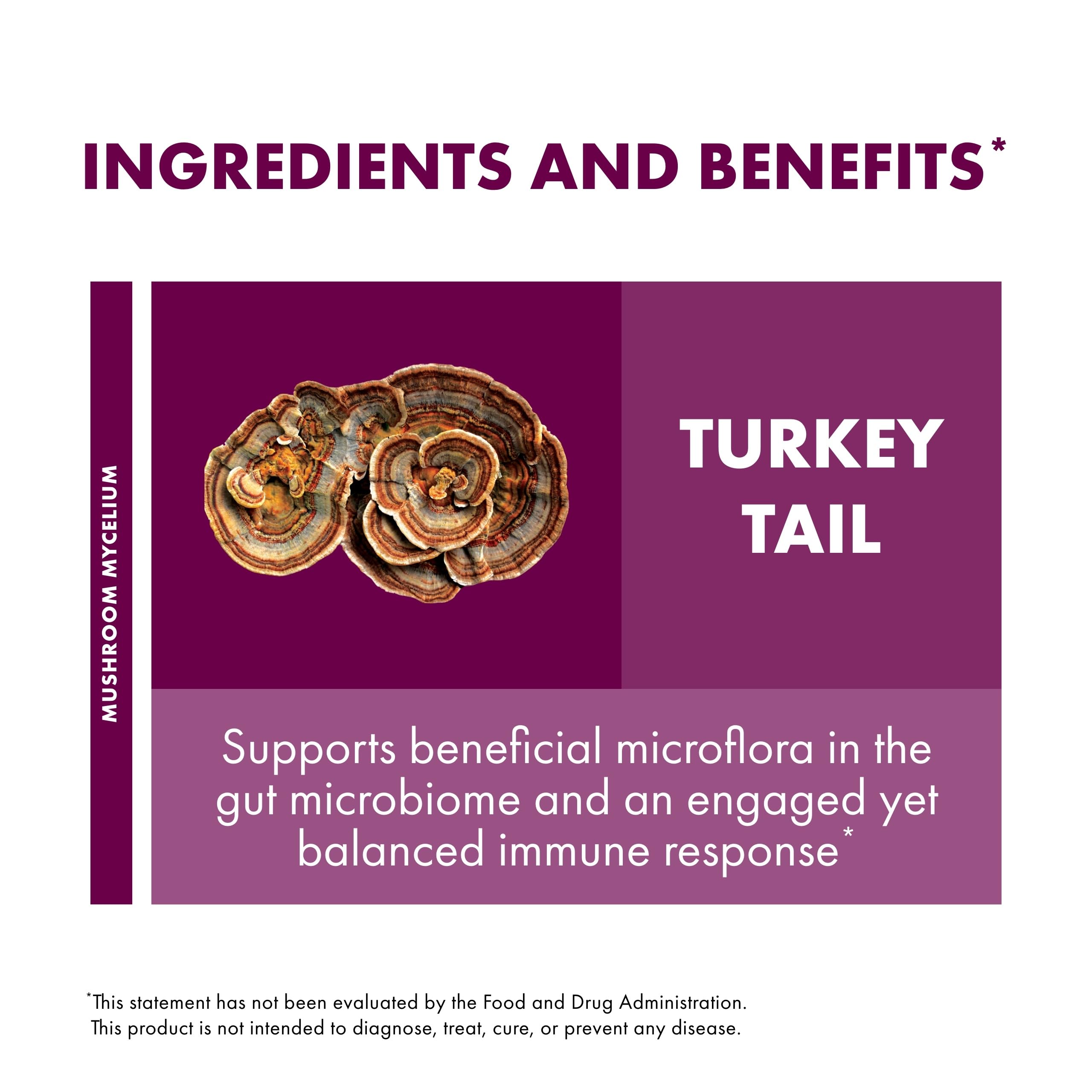 Host Defense turkey tail powder texture close-up reveals fine, powdery consistency.