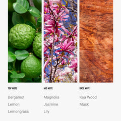 Diffuser-ready blend delivering hotel-grade luxury to living room.