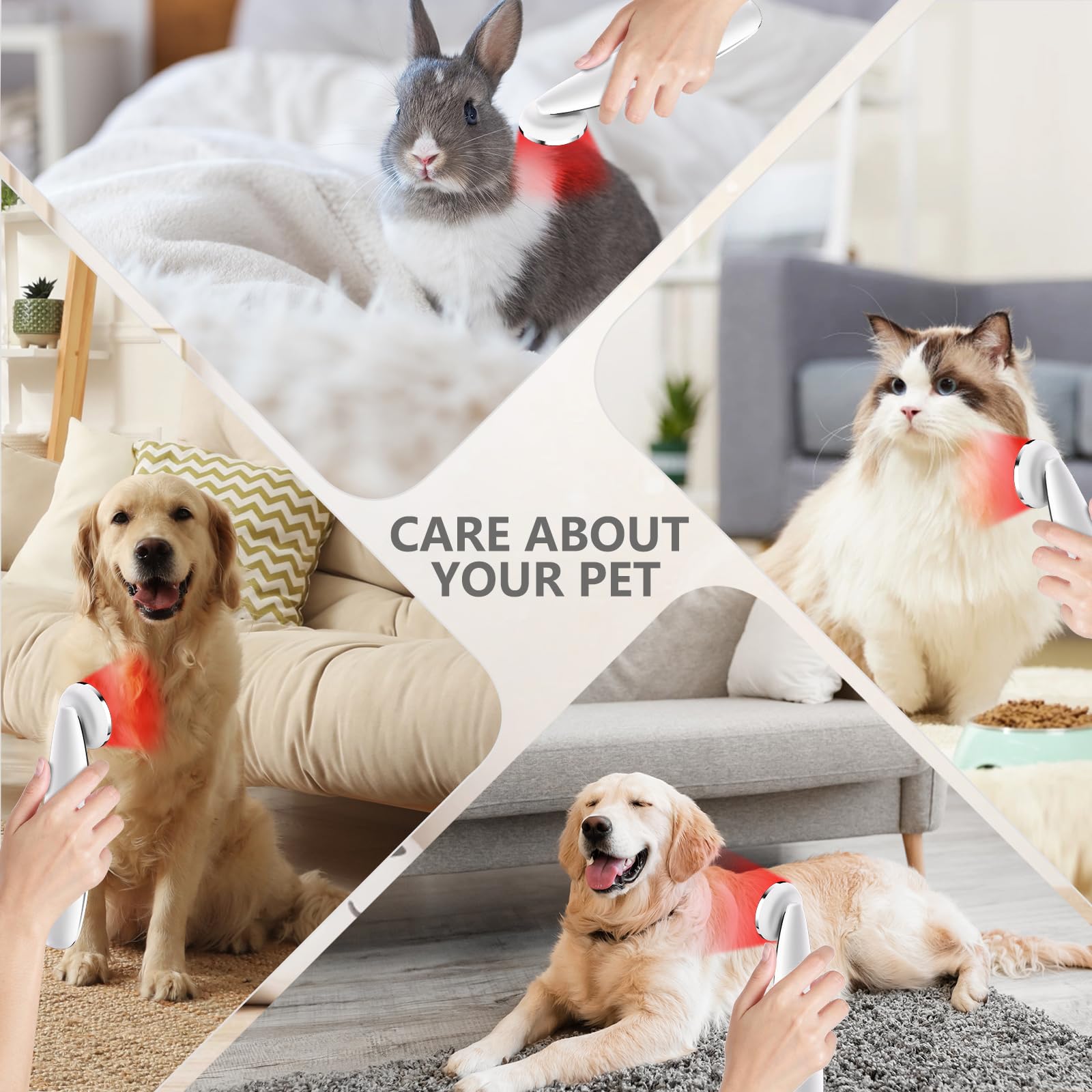 Hottoerak pet-friendly red light therapy scene promoting pet comfort.